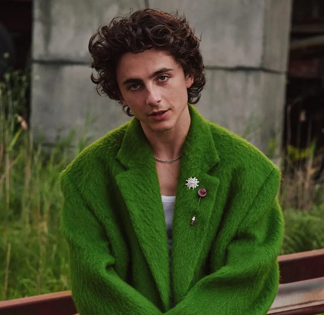 Timothée Chalamet Opens Up About Losing Roles in ‘Maze Runner’ and ‘Divergent’